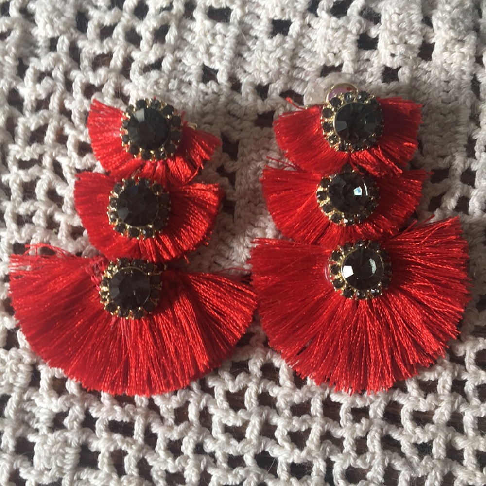 Loft Fringe Tassel Earrings